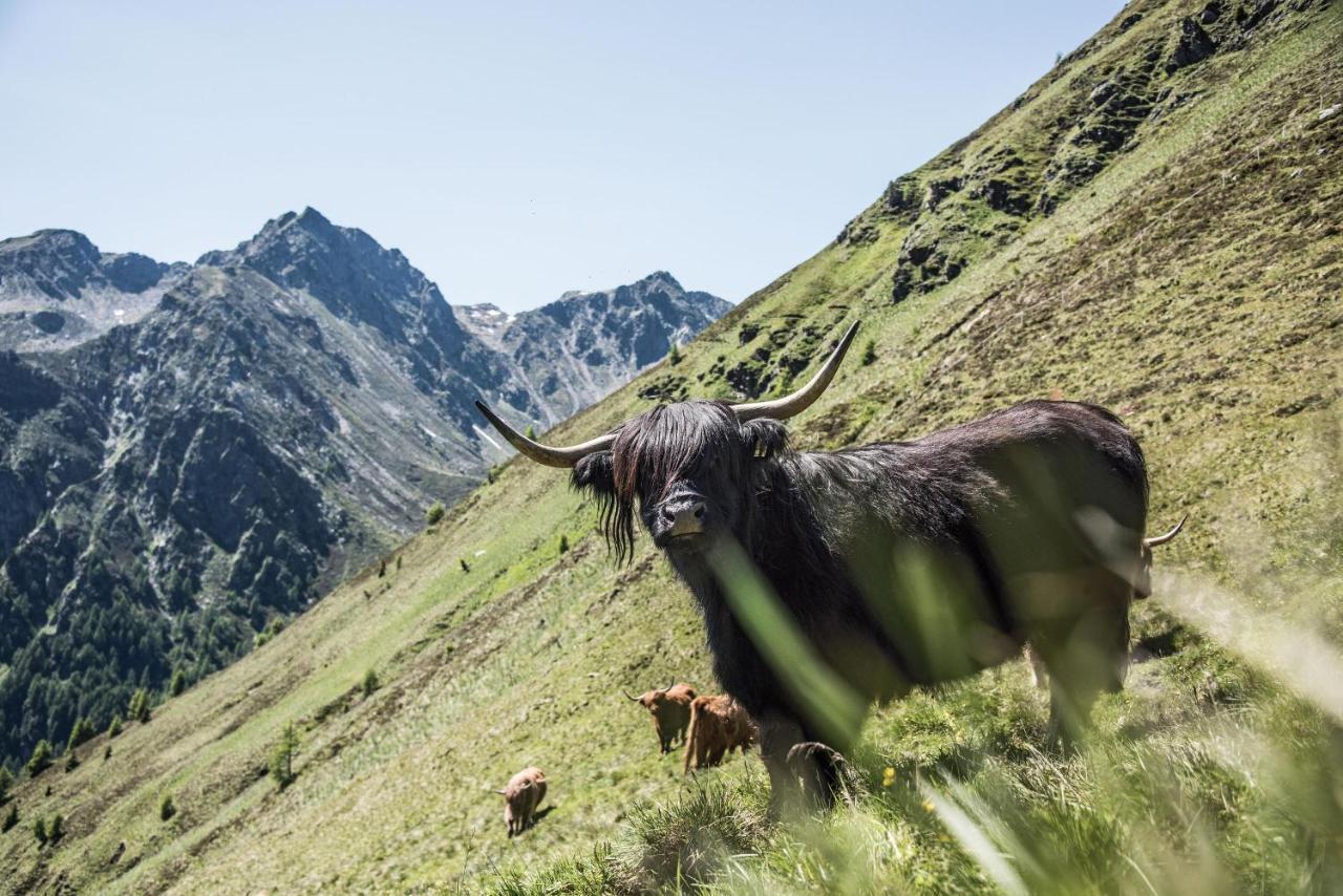 Archehof Hochzirm Lodge Anna Campo Tures Zewnętrze zdjęcie