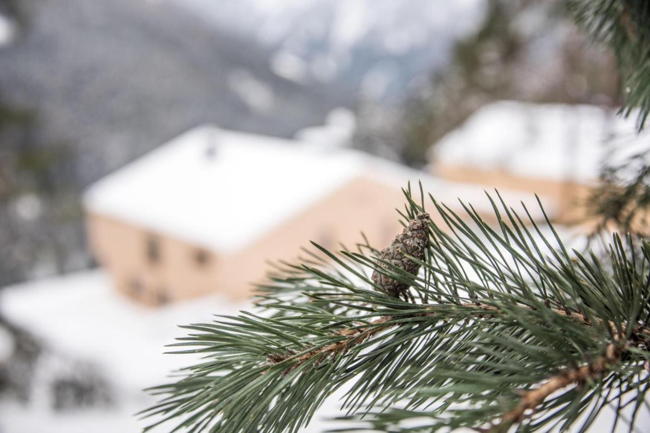 Archehof Hochzirm Lodge Anna Campo Tures Zewnętrze zdjęcie
